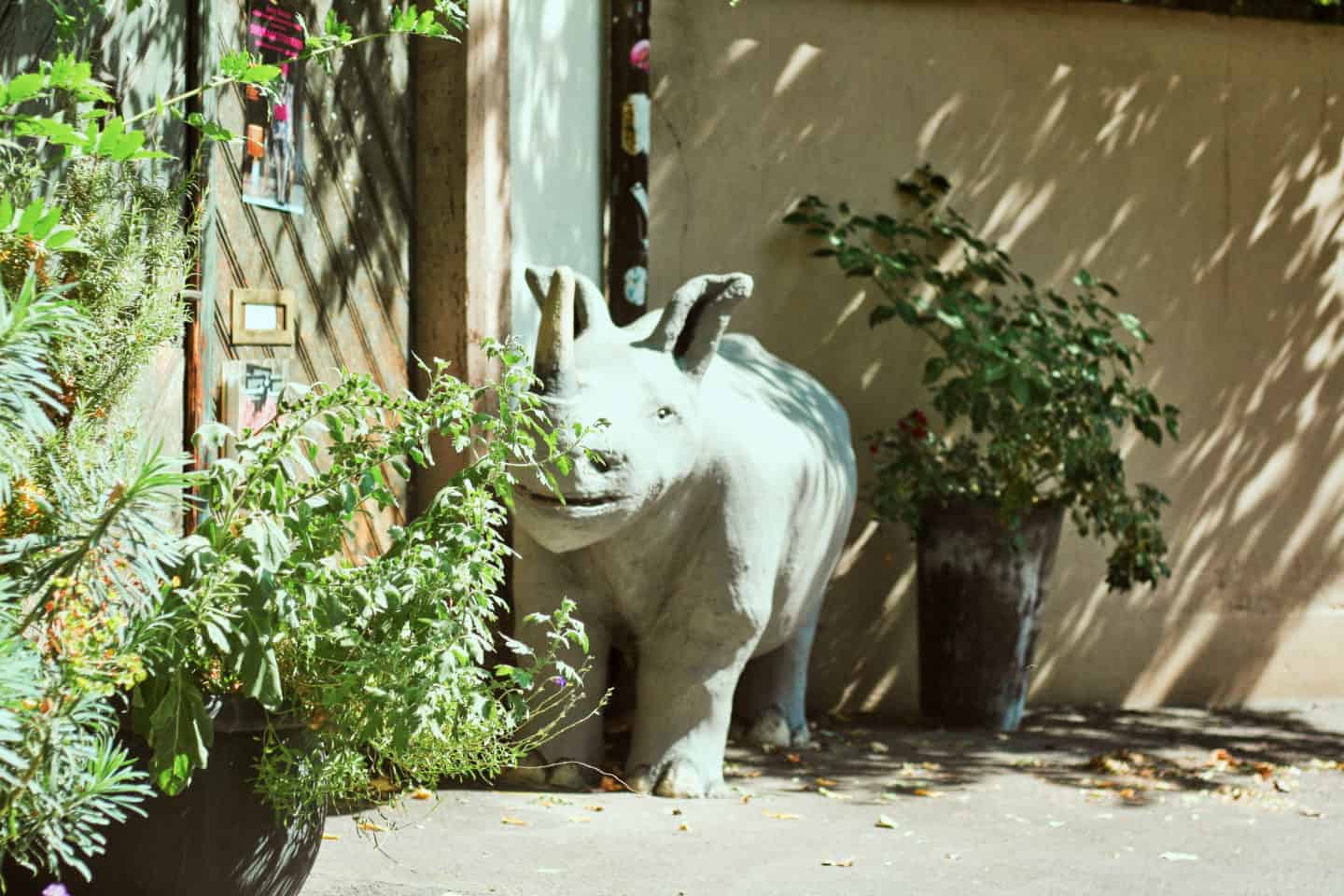 Rhino in Basel